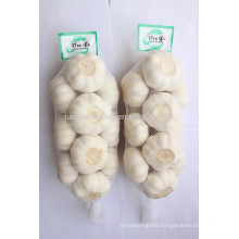 China Snow White Garlic for Sale 1kg/bag